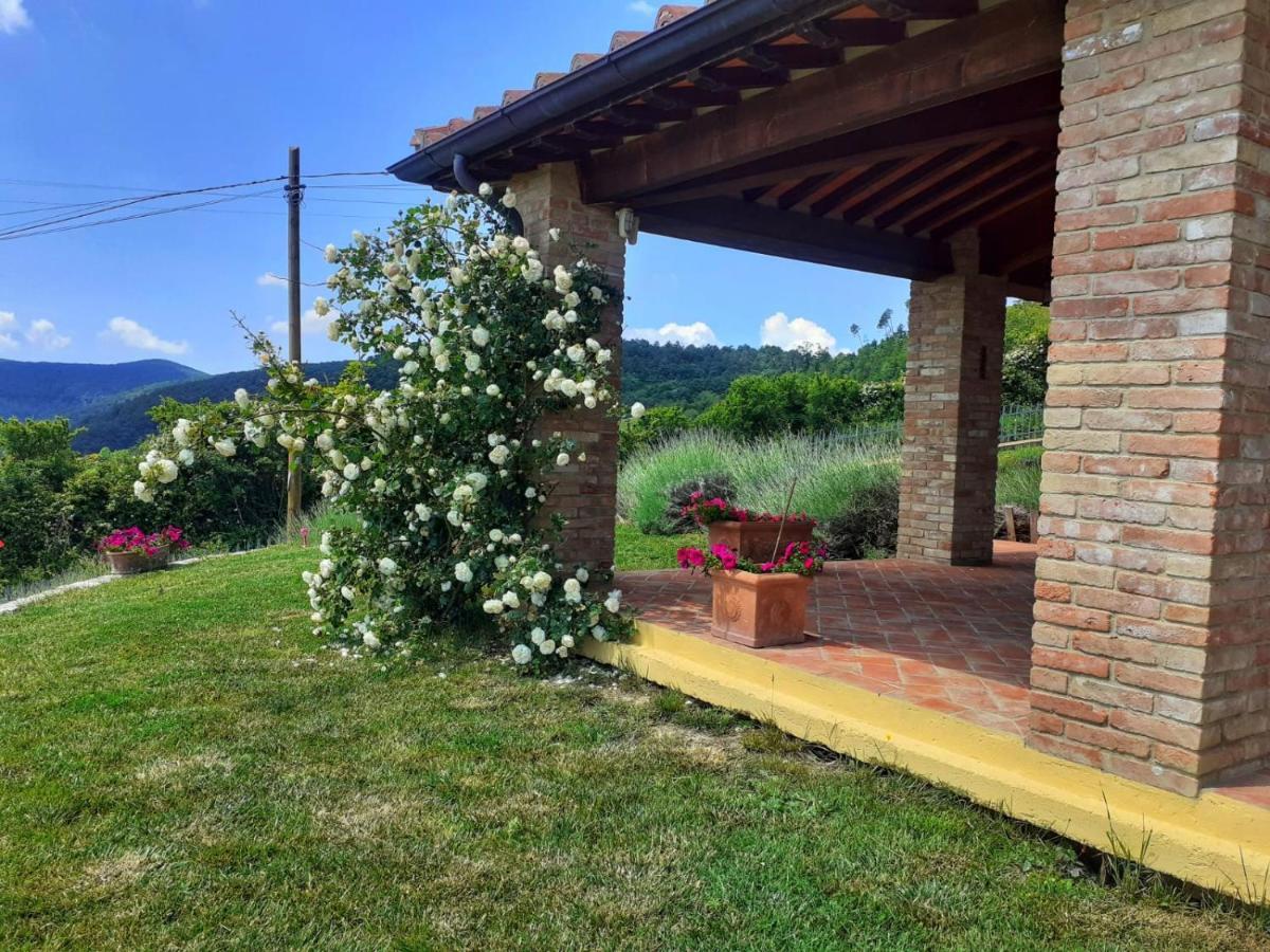 Villa Dimora Degli Angeli Chianni Esterno foto